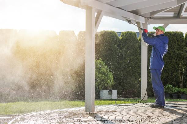 Solar Panel Cleaning in Reinbeck, IA